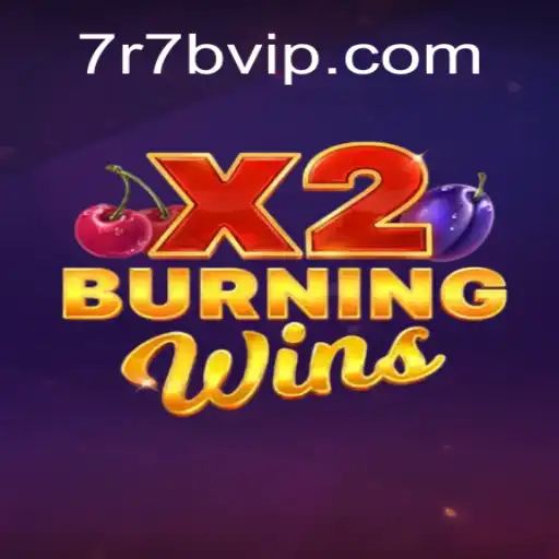 Exploring the Thrilling World of BurningWinsX2